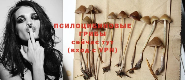 МДПВ Абинск